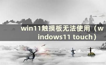 win11触摸板无法使用（windows11 touch）